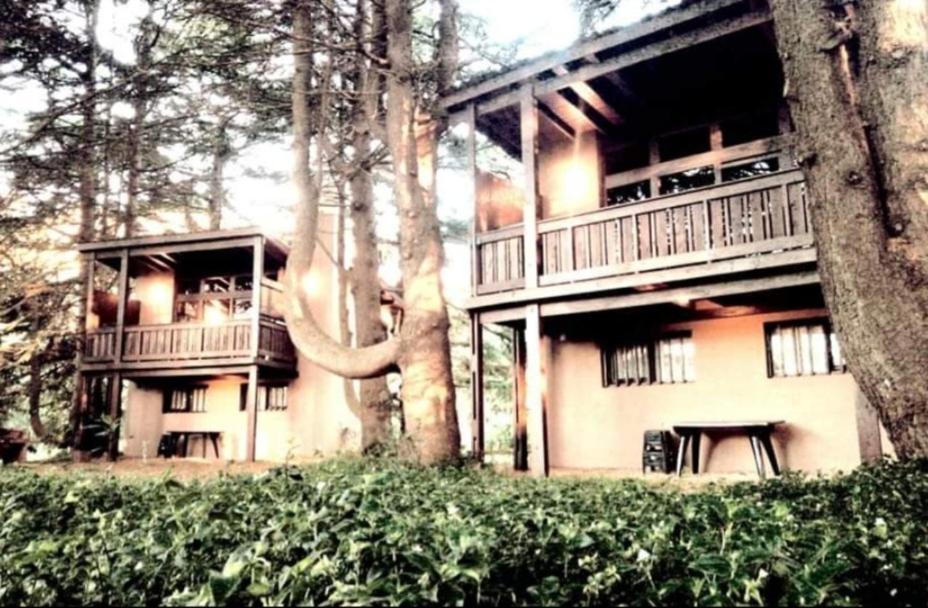 Posta Chimango, Cabanas Frente Al Golf Los Acantilados Μαρ ντελ Πλάτα Εξωτερικό φωτογραφία