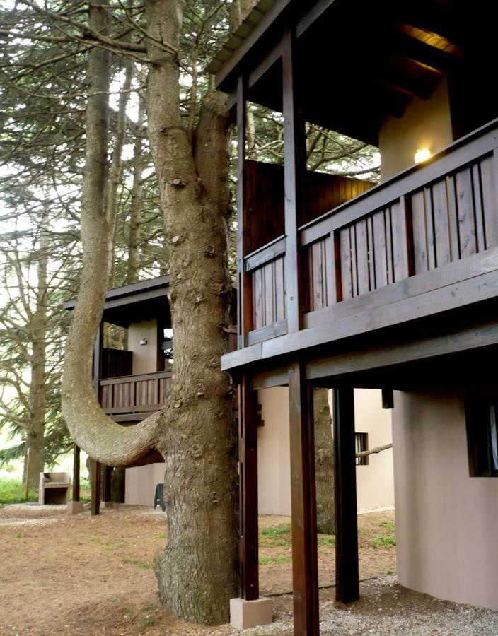 Posta Chimango, Cabanas Frente Al Golf Los Acantilados Μαρ ντελ Πλάτα Εξωτερικό φωτογραφία