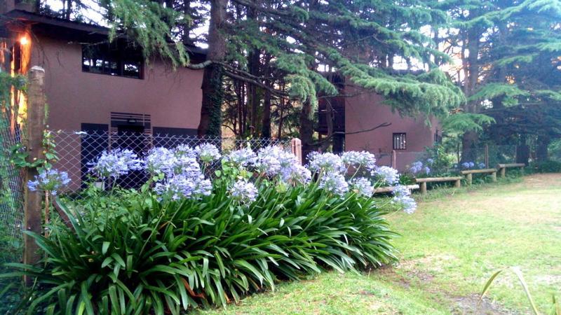 Posta Chimango, Cabanas Frente Al Golf Los Acantilados Μαρ ντελ Πλάτα Εξωτερικό φωτογραφία