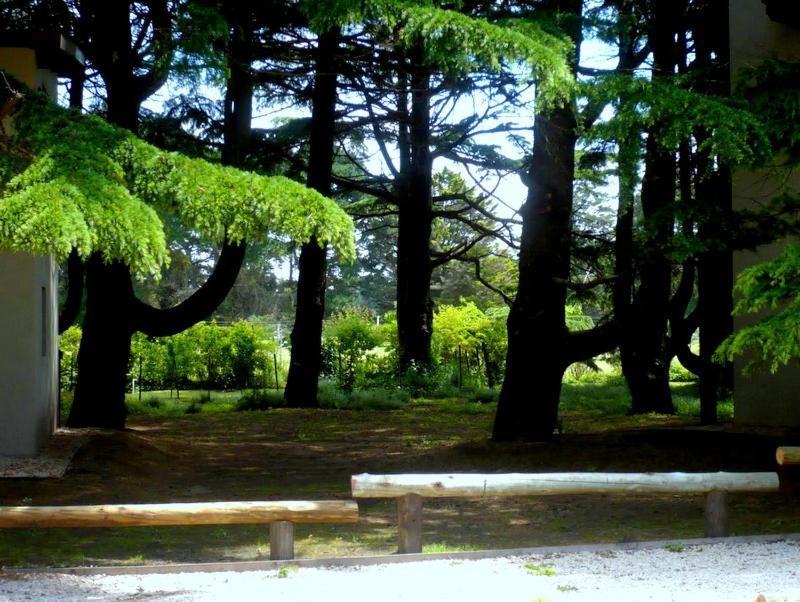 Posta Chimango, Cabanas Frente Al Golf Los Acantilados Μαρ ντελ Πλάτα Εξωτερικό φωτογραφία