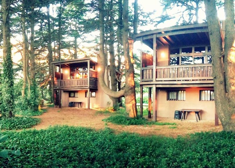 Posta Chimango, Cabanas Frente Al Golf Los Acantilados Μαρ ντελ Πλάτα Εξωτερικό φωτογραφία